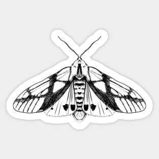 Tiger Moth Sticker